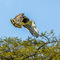 Western Corridor, Serengeti NP